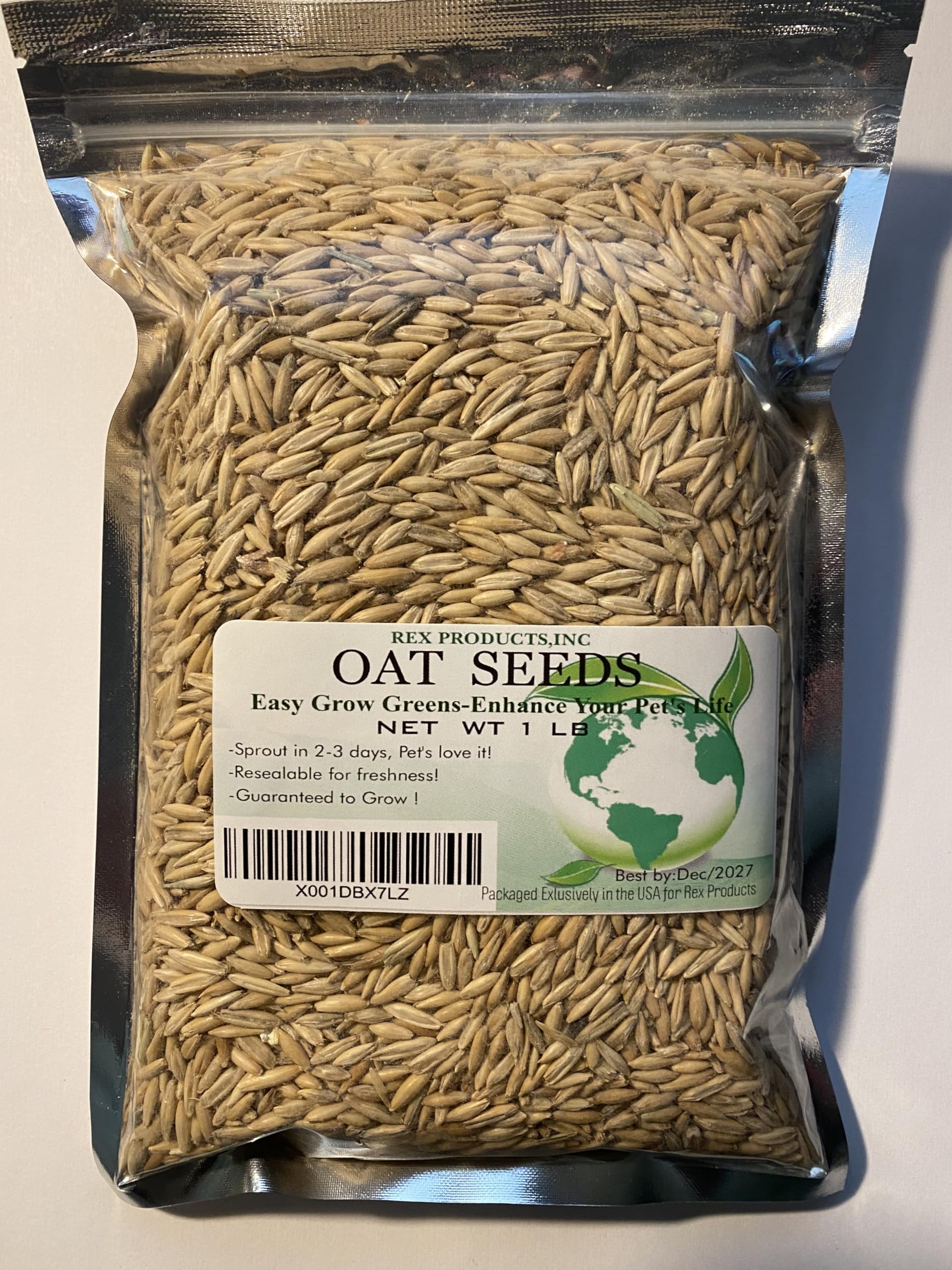 Rex Products,INC Oat Seeds MMF7 1 Lb (3000+ Seeds) Cat,Dog,Pets Oat