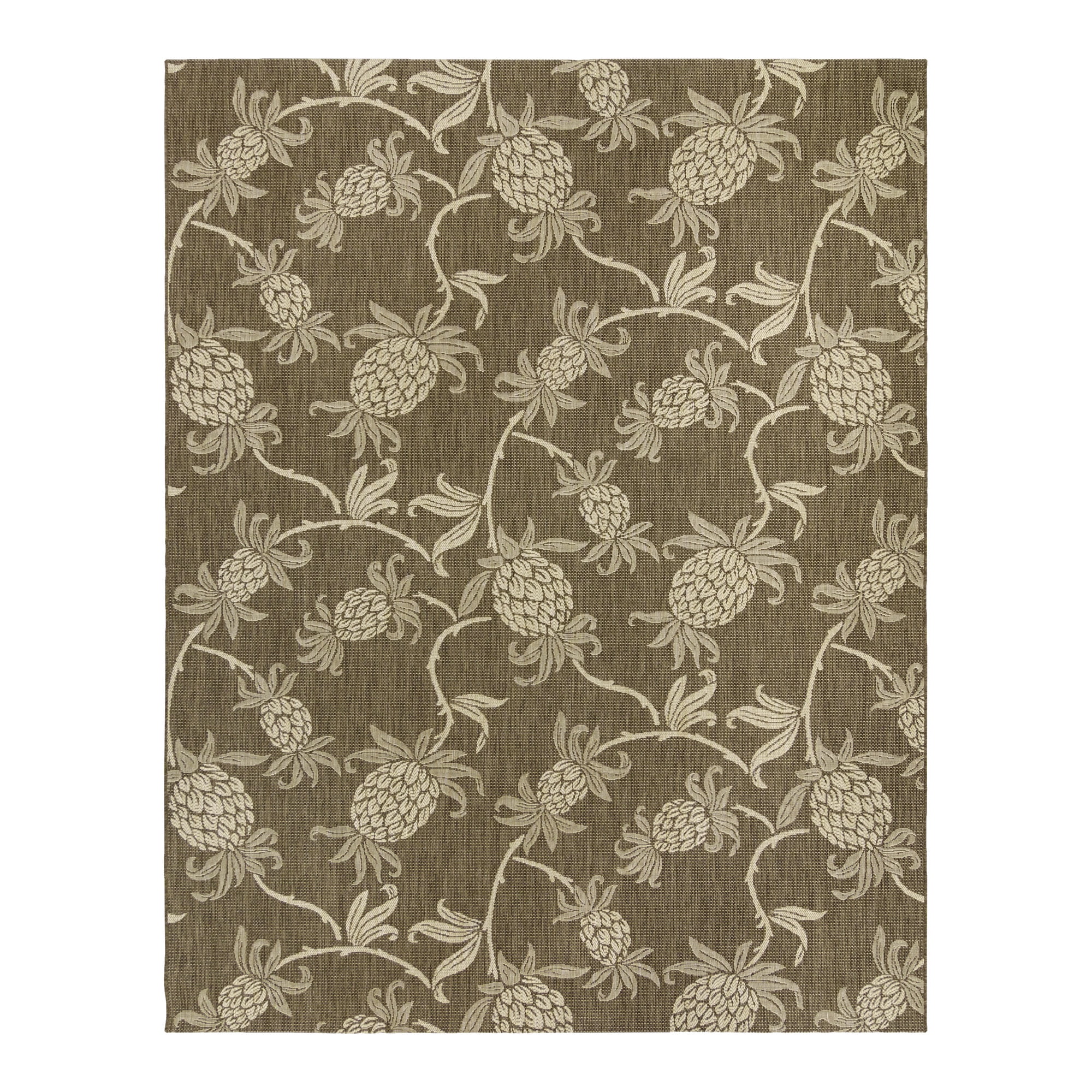 Reyn Spooner Tradewinds Hala Indoor/ Outdoor Polypropylene Havana Flat Weave Area Rug, 5x8
