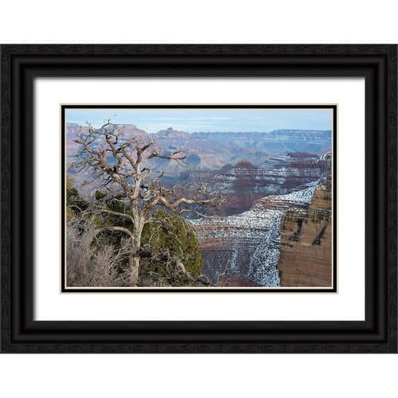 Reynolds, Gerry 14x11 Black Ornate Wood Framed with Double Matting Museum Art Print Titled - Powell Point-Grand Canyon National Park-Arizona-USA