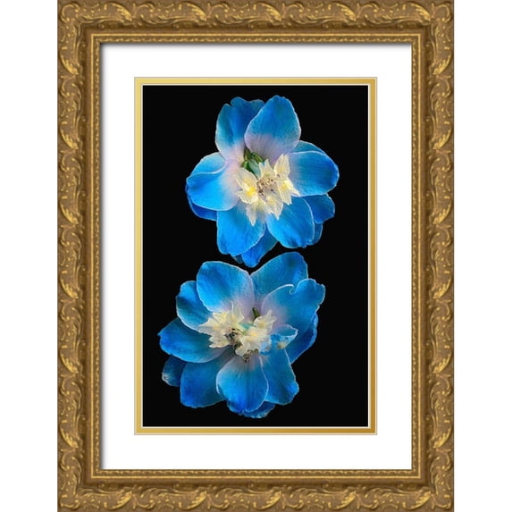 Reynolds, Richard 11x14 Gold Ornate Wood Framed with Double Matting Museum Art Print Titled - Candle Delphinium