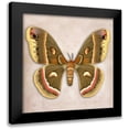 thumbnail image 1 of Reynolds, Richard 12x12 Black Modern Framed Museum Art Print Titled - Cecropia Moth, 1 of 5