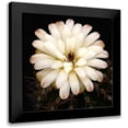 thumbnail image 1 of Reynolds, Richard 12x12 Black Modern Framed Museum Art Print Titled - Chin Cactus 1, 1 of 5