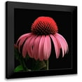 thumbnail image 1 of Reynolds, Richard 12x12 Black Modern Framed Museum Art Print Titled - Purple Cone Flower, 1 of 5