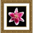 thumbnail image 1 of Reynolds, Richard 12x12 Gold Ornate Wood Framed with Double Matting Museum Art Print Titled - Oriental Lily ~ Stargazer, 1 of 4