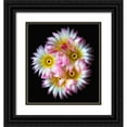 thumbnail image 1 of Reynolds, Richard 12x13 Black Ornate Wood Framed with Double Matting Museum Art Print Titled - Pink Yellow Ball Cactus, 1 of 4