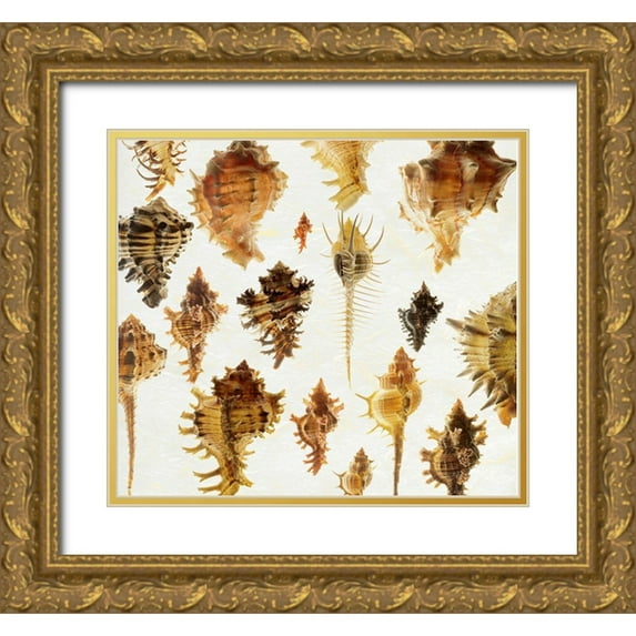 Reynolds, Richard 13x12 Gold Ornate Wood Framed with Double Matting Museum Art Print Titled - Murex Assemblage 2