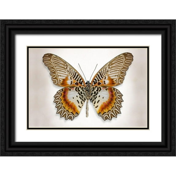 Reynolds, Richard 14x11 Black Ornate Wood Framed with Double Matting Museum Art Print Titled - Brown Accented Butterfly