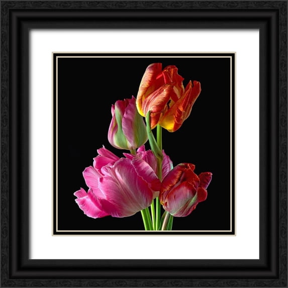 Reynolds, Richard 15x15 Black Ornate Wood Framed with Double Matting Museum Art Print Titled - Parrot Tulips 2