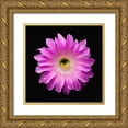 thumbnail image 1 of Reynolds, Richard 15x15 Gold Ornate Wood Framed with Double Matting Museum Art Print Titled - Echinopsis Maria Piazza, 1 of 4