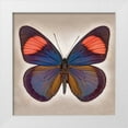 thumbnail image 1 of Reynolds, Richard 15x15 White Modern Wood Framed Museum Art Print Titled - Painted Beauty, 1 of 4