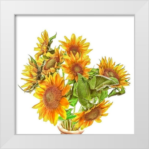 Reynolds, Richard 15x15 White Modern Wood Framed Museum Art Print Titled - Sunflowers
