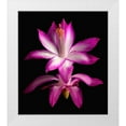 thumbnail image 1 of Reynolds, Richard 15x17 White Modern Wood Framed Museum Art Print Titled - Christmas Cactus, 1 of 4