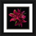 thumbnail image 1 of Reynolds, Richard 20x20 Black Ornate Wood Framed with Double Matting Museum Art Print Titled - Asiatic Lily ~ Montenegro, 1 of 4