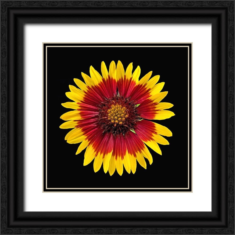 Reynolds, Richard 20x20 Black Ornate Wood Framed with Double Matting