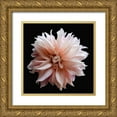 thumbnail image 1 of Reynolds, Richard 20x20 Gold Ornate Wood Framed with Double Matting Museum Art Print Titled - Dahlia 5, 1 of 4