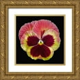 thumbnail image 1 of Reynolds, Richard 20x20 Gold Ornate Wood Framed with Double Matting Museum Art Print Titled - Pansy ~ Delta Fire, 1 of 4