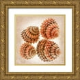 thumbnail image 1 of Reynolds, Richard 20x20 Gold Ornate Wood Framed with Double Matting Museum Art Print Titled - Tectarus Coronatus, 1 of 4