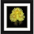 thumbnail image 1 of Reynolds, Richard 20x21 Black Ornate Wood Framed with Double Matting Museum Art Print Titled - Parodia Magnifica, 1 of 4
