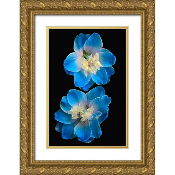Reynolds, Richard 23x32 Gold Ornate Wood Framed with Double Matting Museum Art Print Titled - Candle Delphinium