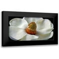 thumbnail image 1 of Reynolds, Richard 24x14 Black Modern Framed Museum Art Print Titled - Southern Magnolia, 1 of 5