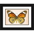 thumbnail image 1 of Reynolds, Richard 24x17 Black Ornate Wood Framed with Double Matting Museum Art Print Titled - Tiger Common, 1 of 4