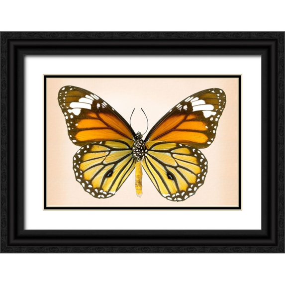 Reynolds, Richard 24x17 Black Ornate Wood Framed with Double Matting Museum Art Print Titled - Tiger Common