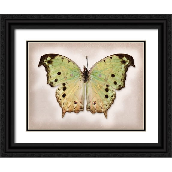 Reynolds, Richard 24x19 Black Ornate Wood Framed with Double Matting Museum Art Print Titled - Forest Mother-Of-Pearl