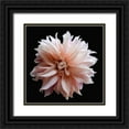 thumbnail image 1 of Reynolds, Richard 26x26 Black Ornate Wood Framed with Double Matting Museum Art Print Titled - Dahlia 5, 1 of 4