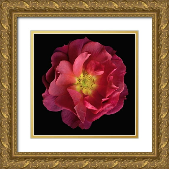 Reynolds, Richard 26x26 Gold Ornate Wood Framed with Double Matting Museum Art Print Titled - Cinco De Mayo