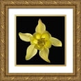 thumbnail image 1 of Reynolds, Richard 26x26 Gold Ornate Wood Framed with Double Matting Museum Art Print Titled - Columbine ~ Origami Yellow, 1 of 4