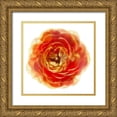 thumbnail image 1 of Reynolds, Richard 26x26 Gold Ornate Wood Framed with Double Matting Museum Art Print Titled - Ranunculus Brown, 1 of 4