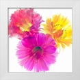 thumbnail image 1 of Reynolds, Richard 26x26 White Modern Wood Framed Museum Art Print Titled - Three Echinopsis, 1 of 4