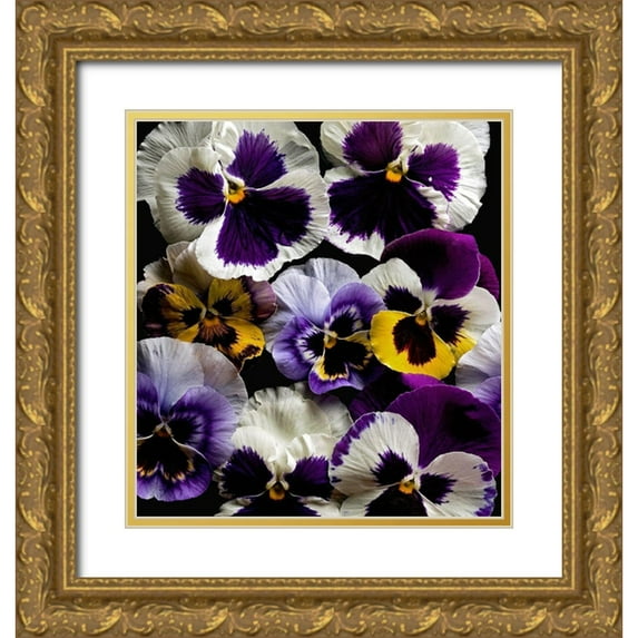 Reynolds, Richard 26x28 Gold Ornate Wood Framed with Double Matting Museum Art Print Titled - Pansies