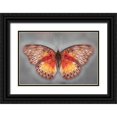 thumbnail image 1 of Reynolds, Richard 32x23 Black Ornate Wood Framed with Double Matting Museum Art Print Titled - Common Red Glider, 1 of 4