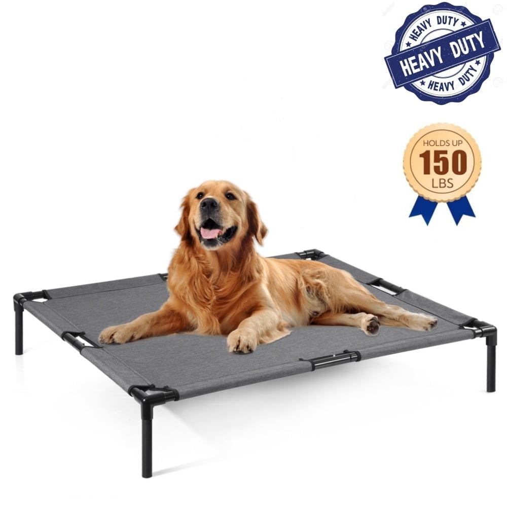 Anti chew dog blanket hotsell