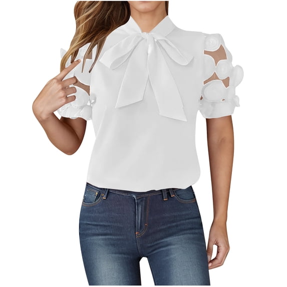 Rezuofi 1 Pcs Womens Dressy Chiffon Blouse Business Work Casual Tie Neck Shirt Tops