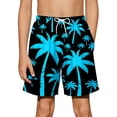 thumbnail image 1 of Rggeeun Boys Toddler Shorts Cute Coconut Tree Pattern Elastic Waist With Adjustable Tie & Side Pockets Loose Fit Wide Leg Knee Length For Summer Travel Party Leisure Bottoms,Blue,11-12 Years, 1 of 6