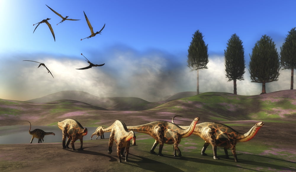 Rhamphorhynchus birds fly over a herd of Dicraeosaurus dinosuars Canvas Art - Corey FordStocktrek Images (36 x 21)