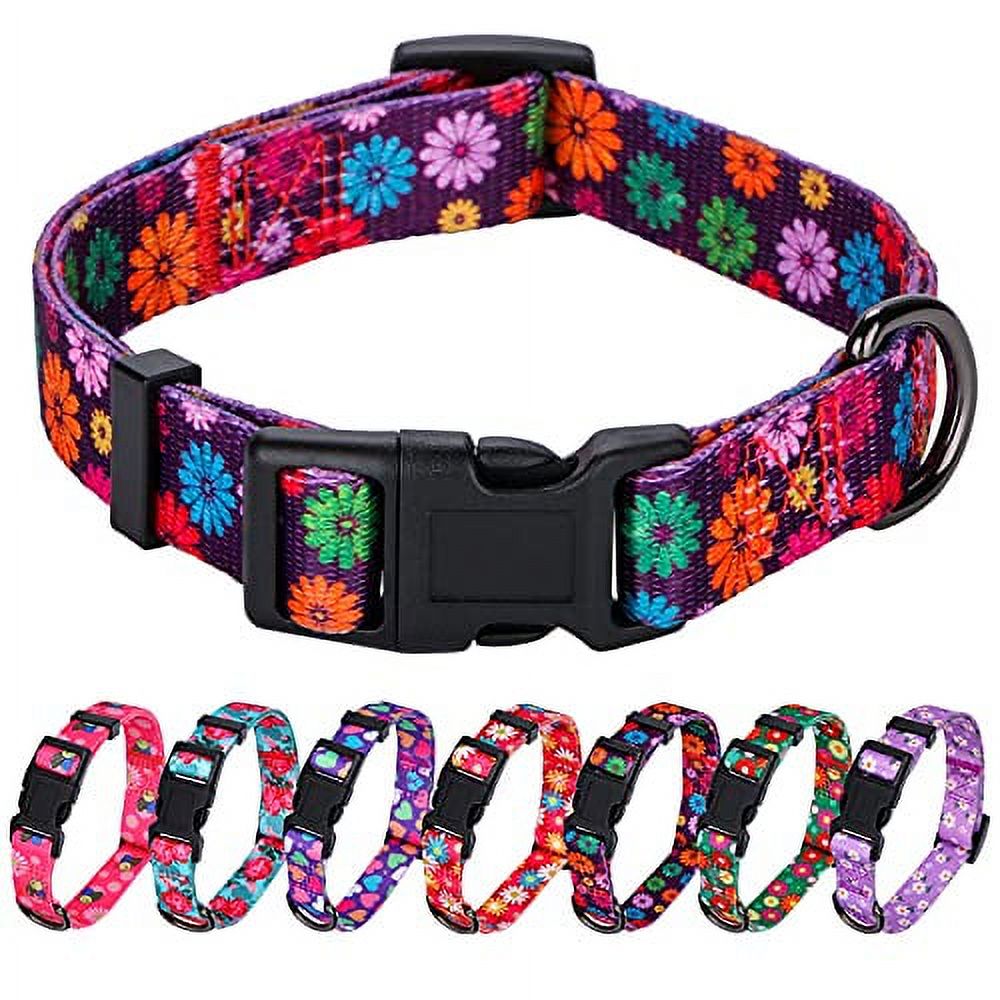 Rhea Rose Girl Dog Collars Fall Daisy Pattern, Colorful Flowers Print
