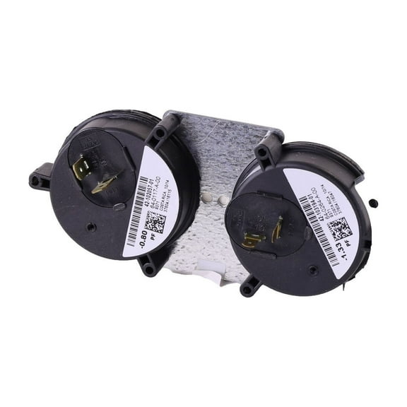 Rheem-Ruud 42-103193-01 - Dual Pressure Switch Assembly