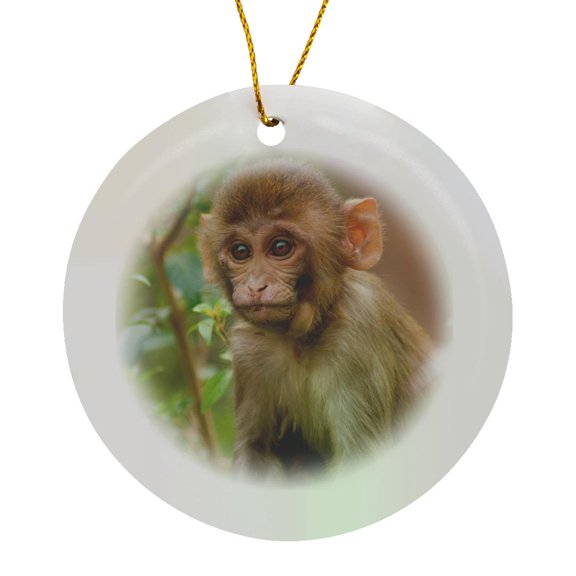 3drose, Rhesus Monkey Baby, Monkey Temple, Jaipur, Rajasthan., Circle Porcelain Ornament