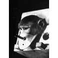 thumbnail image 1 of A Rhesus Monkey Forced To Breath Cigarette Smoke In Experiments Carried Out By Russian Professor Georgy Georgadze. The Goal To Induce Lung Cancer But No Monkeys Lived Long Enough To Do So. Sept. 12, 1 of 1