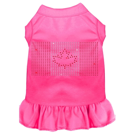 Rhinestone Canadian Flag Dress
