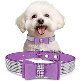 Extra small dog collars walmart best sale