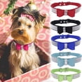 thumbnail image 1 of Rhinestone Leather Dog & Cat Collar - Sparkly Crystal Diamonds Studded for Small Medium Dogs Cat, 1 of 6