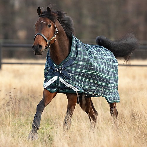 Rhino Wug Turnout Blanket 100g 81 Hunter Check