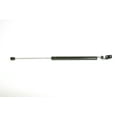 thumbnail image 1 of RhinoPac 6219R Tailgate Lift Support, 1 of 3