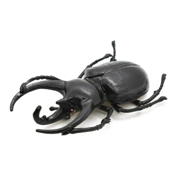 Rhinoceros Beetle Toy, Realistic Rubber Model, Bug, Insect 2 3/4" CWG04 B13