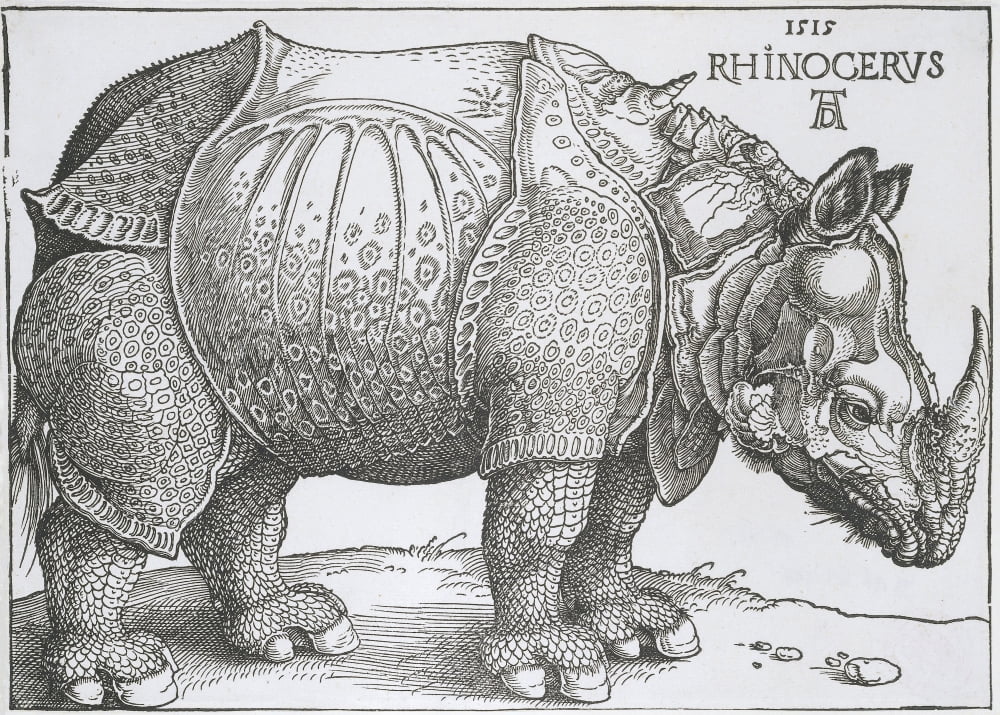 Rhinoceros Canvas Art - (24 x 18)