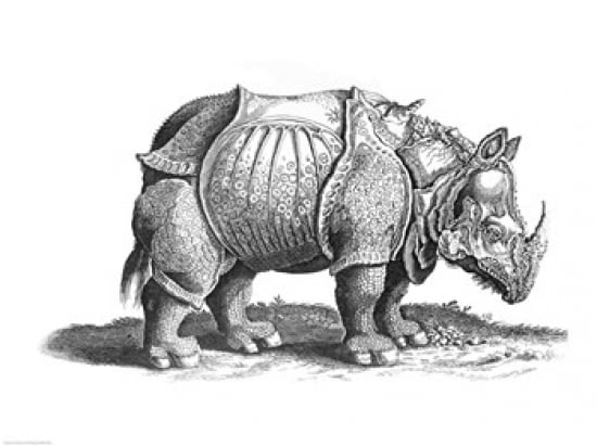 Rhinoceros Canvas Art - Albrecht Durer (24 x 18)